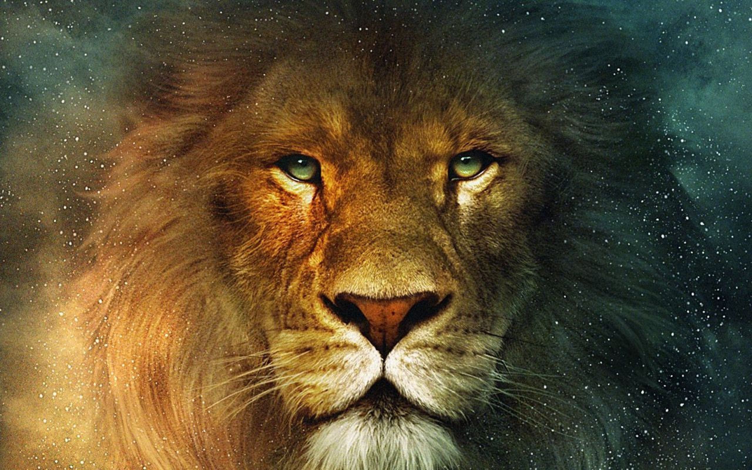Sư tử: Sự kiêu hãnh, mạnh mẽ và oai phong của sư tử thật đáng sợ và thú vị. Nếu bạn thích khám phá thế giới động vật hoang dã, hãy đến với hình ảnh này và tìm hiểu thêm về loài sư tử đầy bí ẩn và đa dạng.