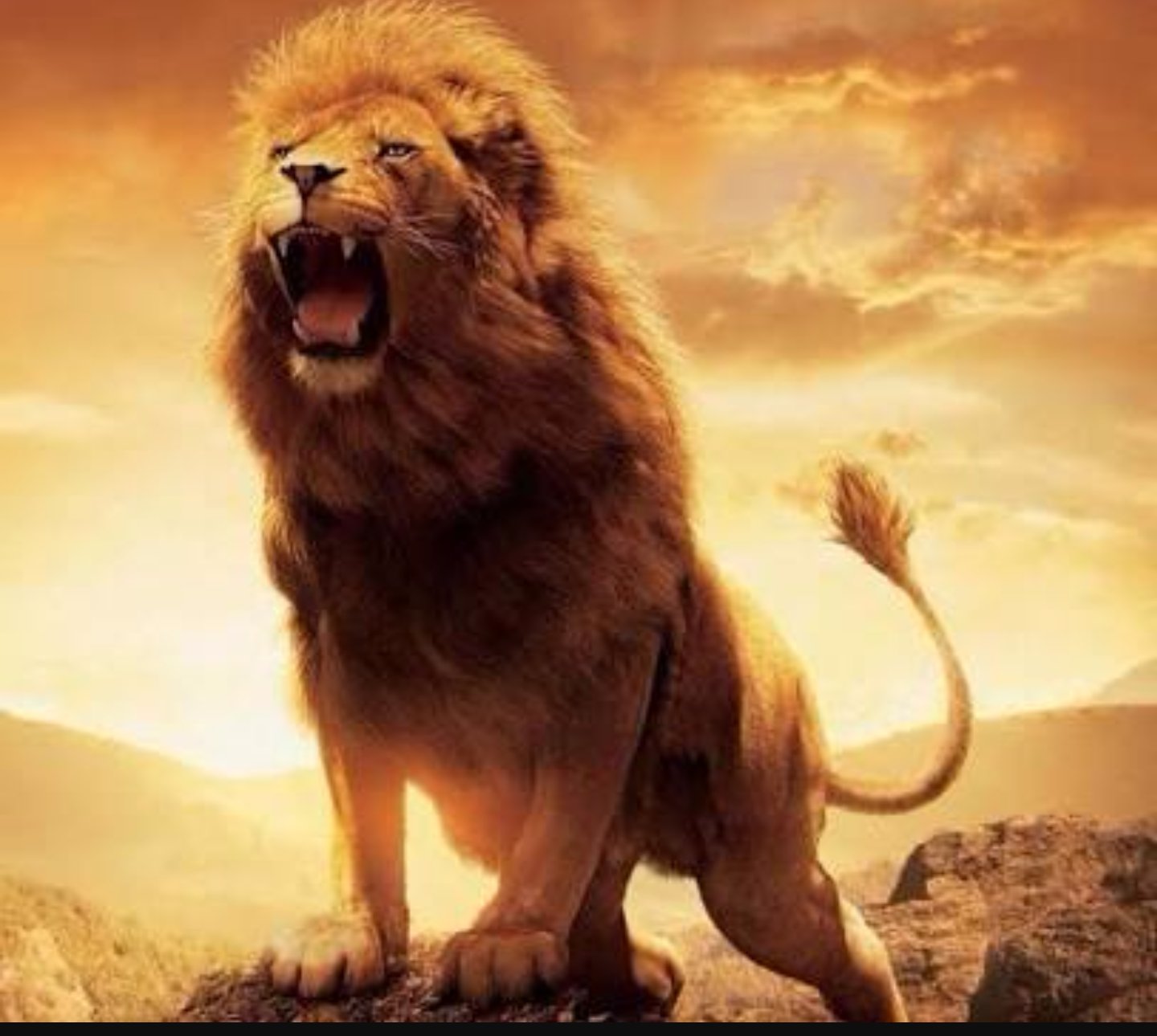 Bộ sưu tập hình con sư tử Full 4K siêu đẹp – Hơn 999 tấm hình sư ...