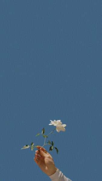Trauriges Vintages Bild einer weißen Rose