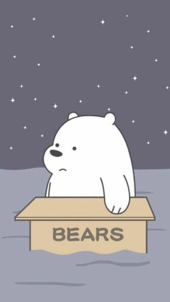 Hình avatar gấu nền xám