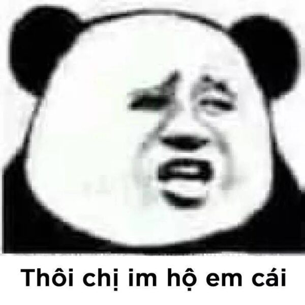 hình meme gấu trúc weibo