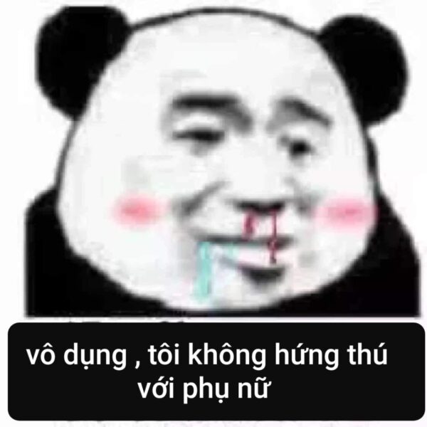 Hình meme gấu trúc Weibo chảy máu cam