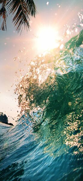 Hình nền biển cho iPhone xanh lá