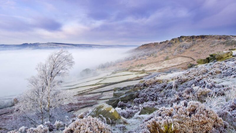 hình nền bing thiên nhiên mùa đông đẹp nhất