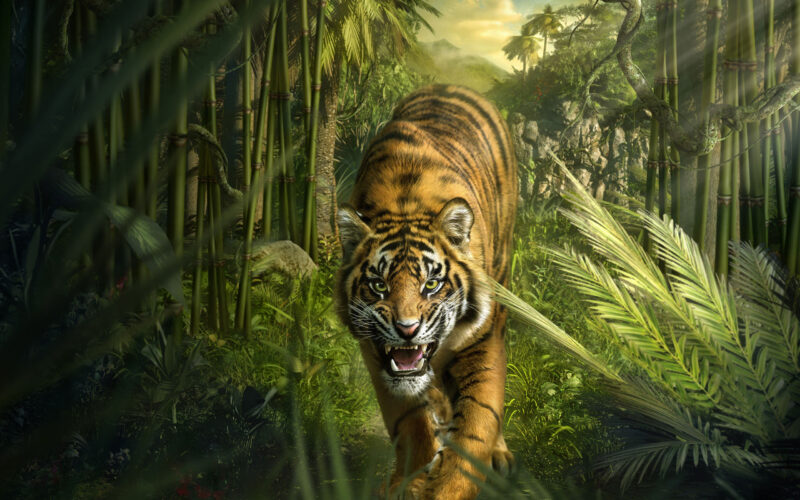 hình nền con hổ đang gầm gừ trong khu rừng già