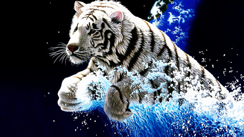 Hình nền con hổ và nước