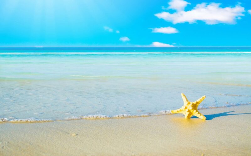 hình nền desktop sao biển trên bờ cát trắng