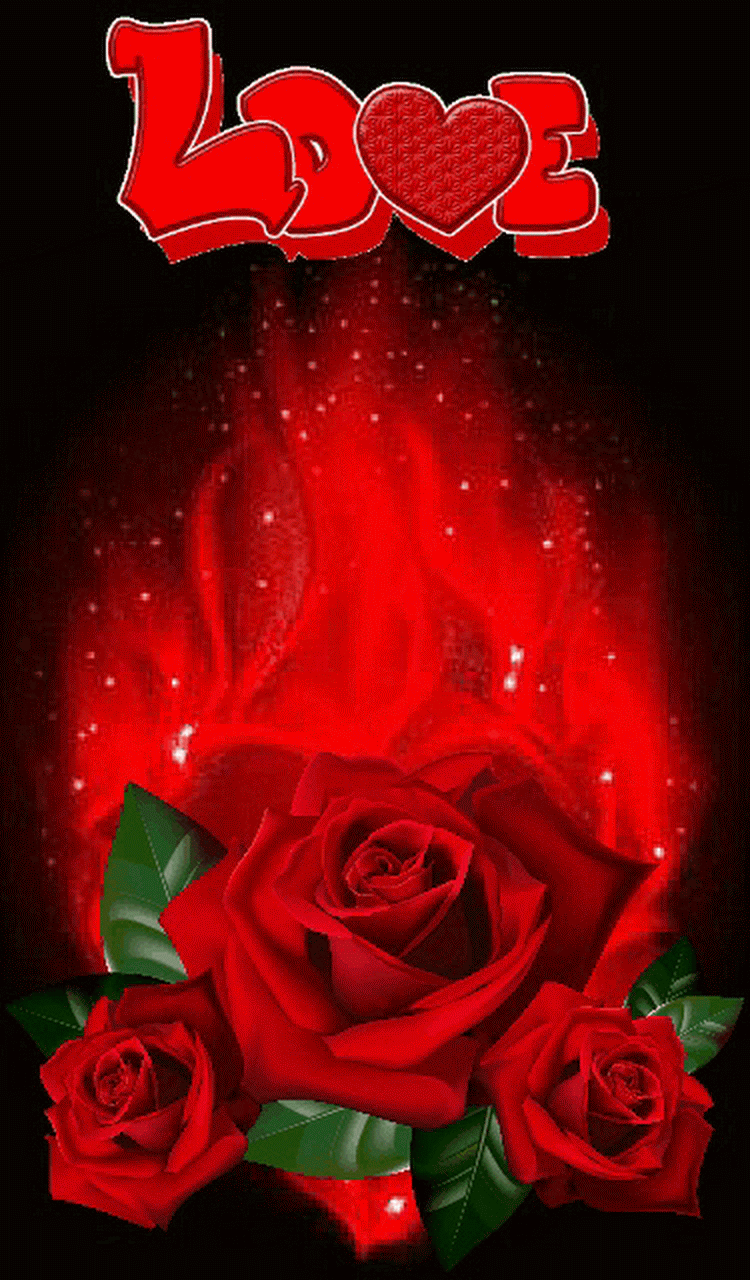 hình nền động tình yêu hoa hồng rực cháy
