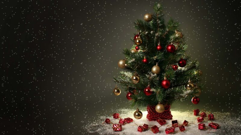 hình nền giáng sinh cây thông noel đơn giản đẹp nhất