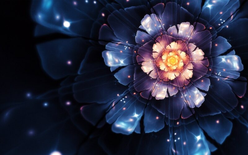 Extremely beautiful 3D flower wallpapers for computers