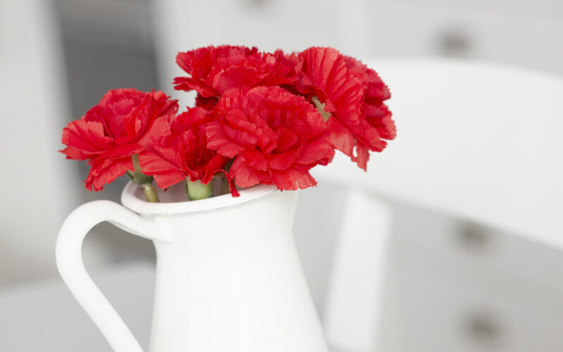 Beautiful flower wallpaper with red carnations and white vase