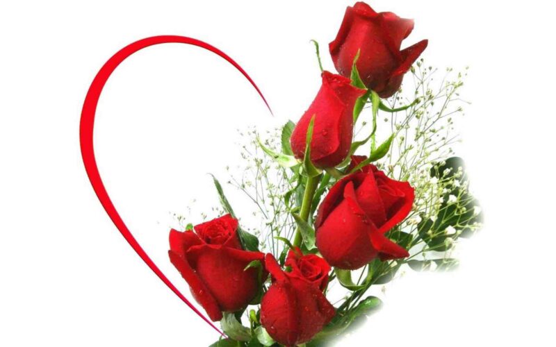 Beautiful flower wallpapers red roses and hearts