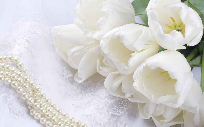 beautiful flower wallpaper white tulips and pearl strings