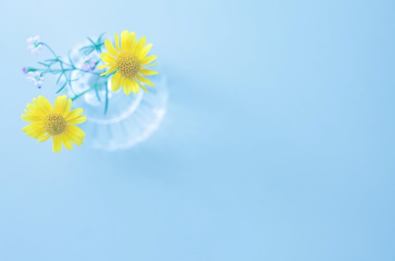 flower vase background Beautiful flower flowers yellow blue vase vase flowers background