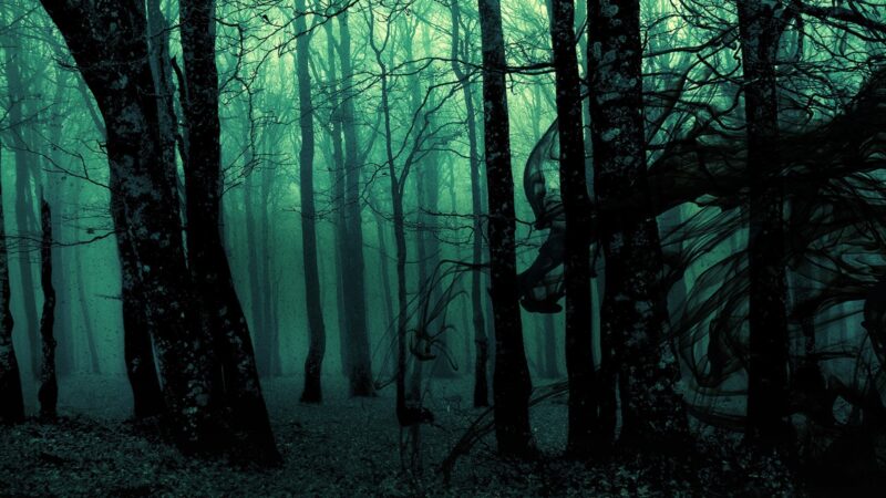 Hình nền linh hồn rừng bí ẩn