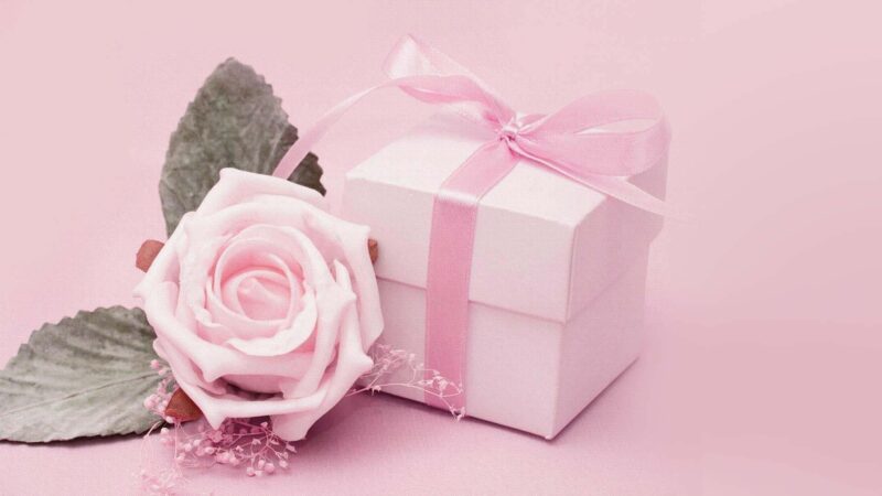 hình nền màu hồng dễ thương bông hoa và hộp quà