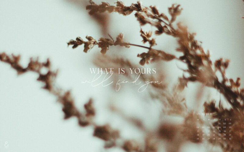 Hình nền màu nâu nhạt với nhành hoa khô