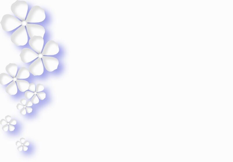 hình nền màu trắng hoa độc lạ