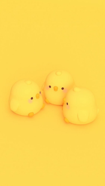 hình nền màu vàng đẹp hình những chú gà vàng cute