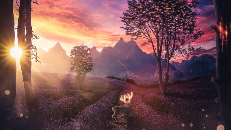 Hình nền máy tính đẹp