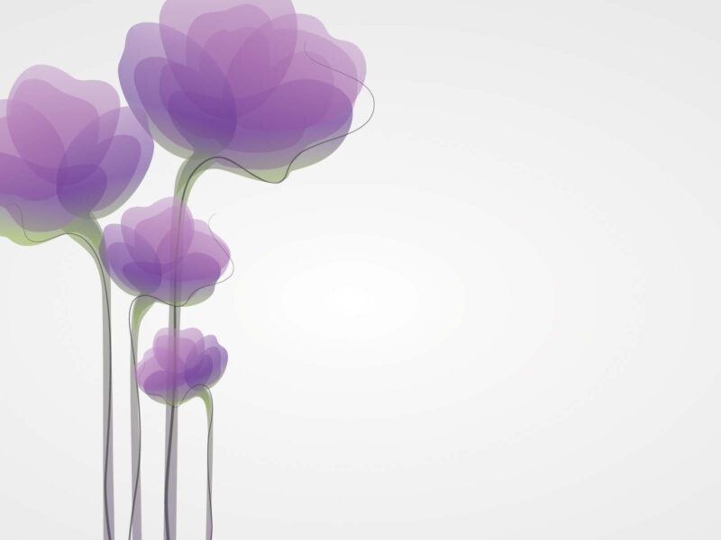 Cute Purple Flower Powerpoint Templates - Flowers, Fuchsia / Magenta within Purple Flower Powerpoint Backgrounds