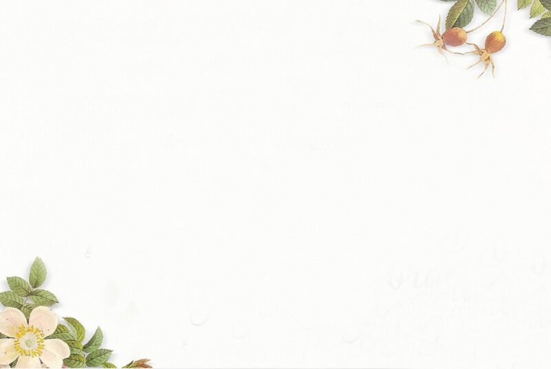 hình nền powerpoint đẹp nhất