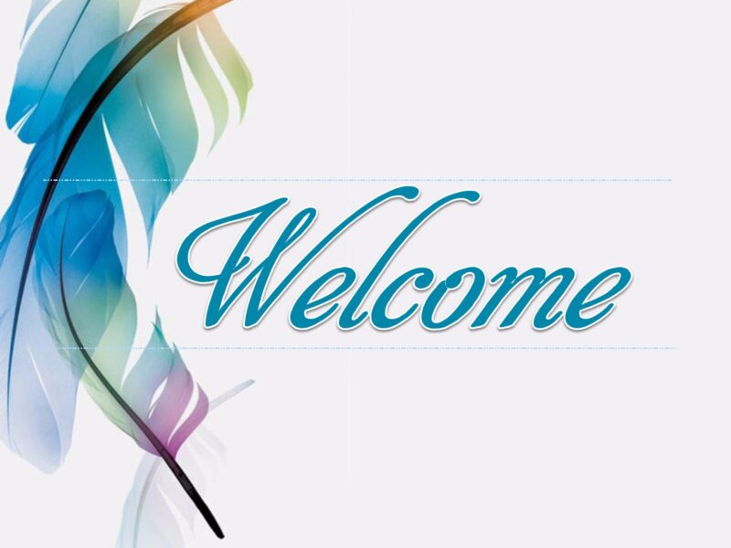 hình nền powerpoint slide mở đầu lông vũ màu sáng