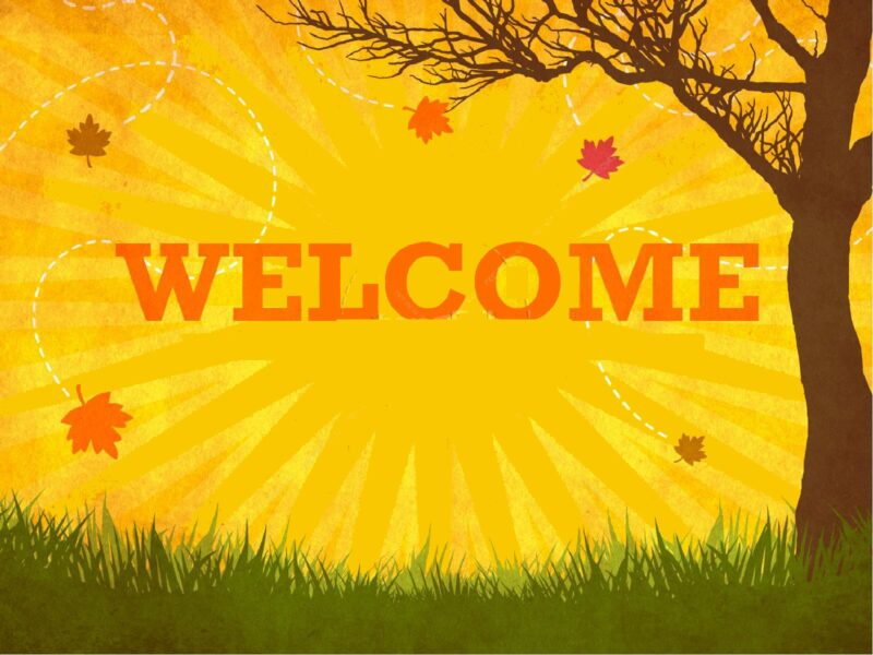 hình nền powerpoint slide mở đầu thiên nhiên cây cỏ đơn giản