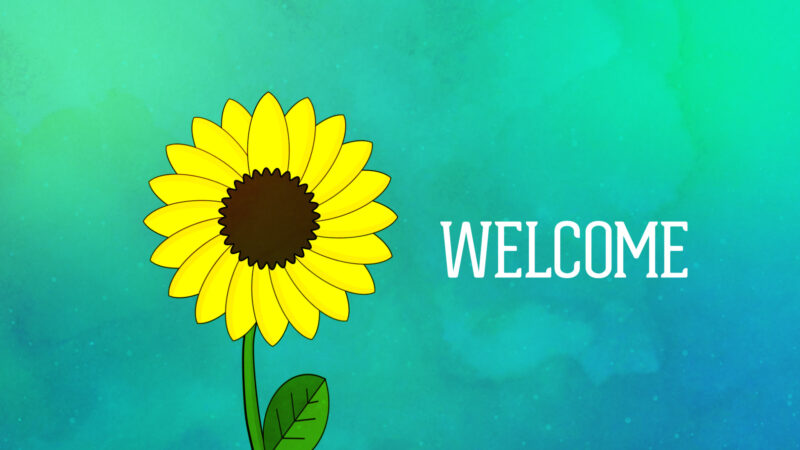 hình nền powerpoint xin chào dễ thương