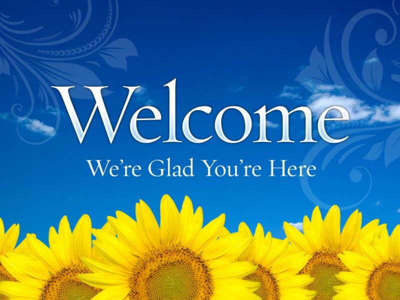 hình nền powerpoint xin chào nền hoa hướng dương