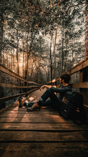 hình nền tâm trạng người con trai trong rừng trên chiếc cầu gỗ