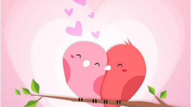 hình nền tình yêu