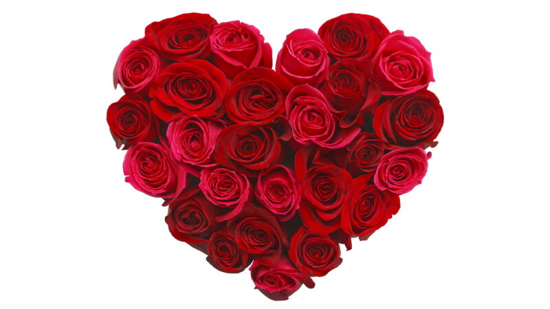 hình nền trái tim đẹp được xếp từ hoa hồng