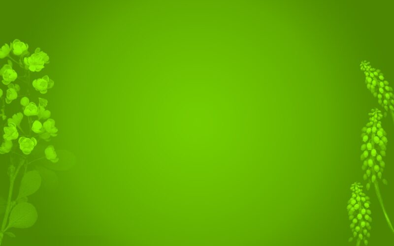 Hình nền xanh lá đậm