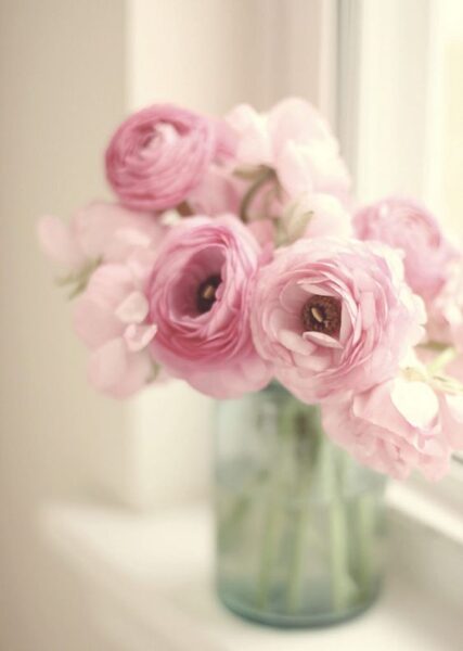 hình nền zalo đẹp bình hoa hồng nhẹ nhàng