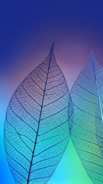 Hình nền Zalo độc đáo