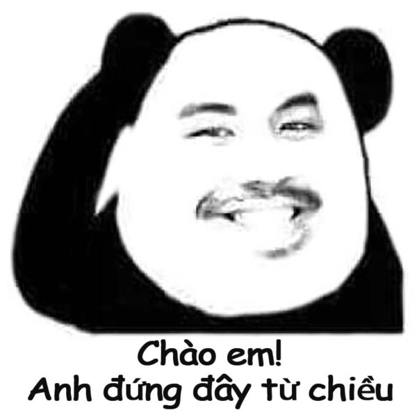 meme gấu trúc xin chào