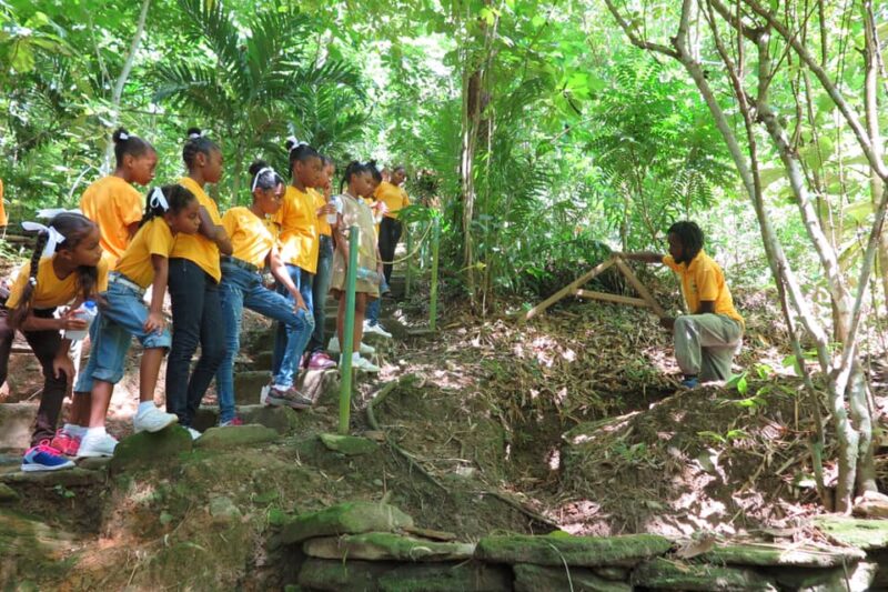 ảnh bảo vệ môi trường tìm hiểu kiến thức về rừng