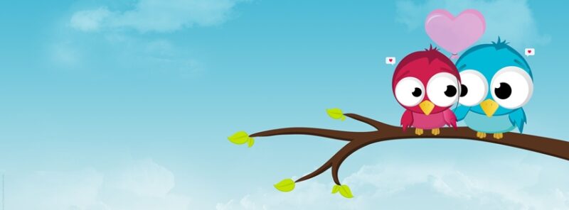 Ảnh bìa cute chim hoạt hình