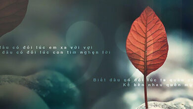 ảnh bìa facebook về tình yêu đẹp chiếc lá buồn