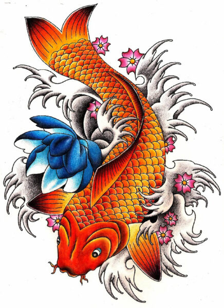 ảnh cá chép hóa rồng