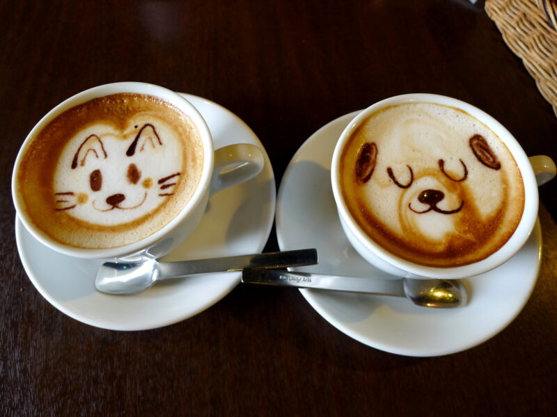 Ảnh cafe cặp vẽ gấu
