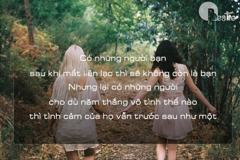 hình ảnh đẹp về tình bạn trạng thái tốt