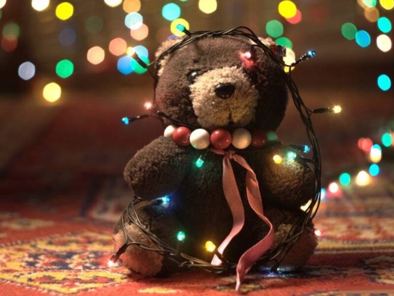 Ảnh gấu bông đẹp nhất - gấu bông và đèn chớp