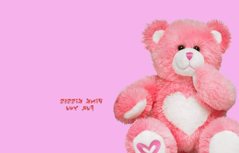 Ảnh gấu bông đẹp nhất màu hồng