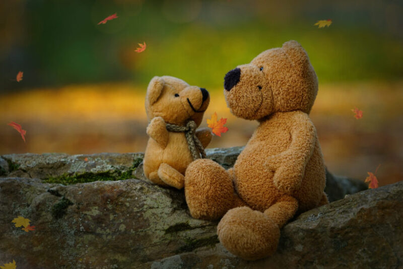 Ảnh gấu bông đẹp nhất và lá mùa thu