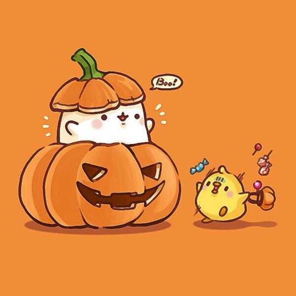 Bộ ảnh Halloween dễ thương cho điện thoại - bí ngô và vịt vàng