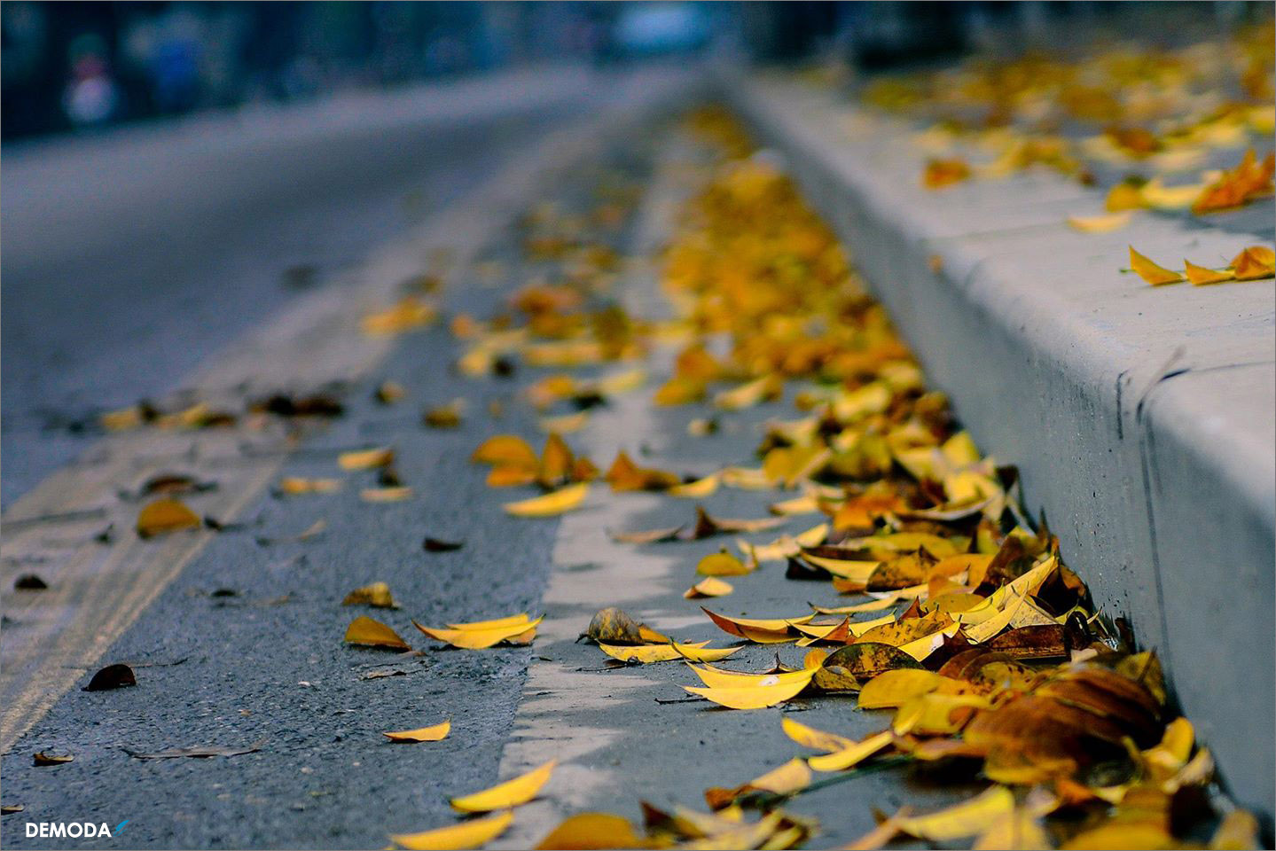 Tuyển tập 20 bài thơ về mùa thu hay và đặc sắc trong ngày thu