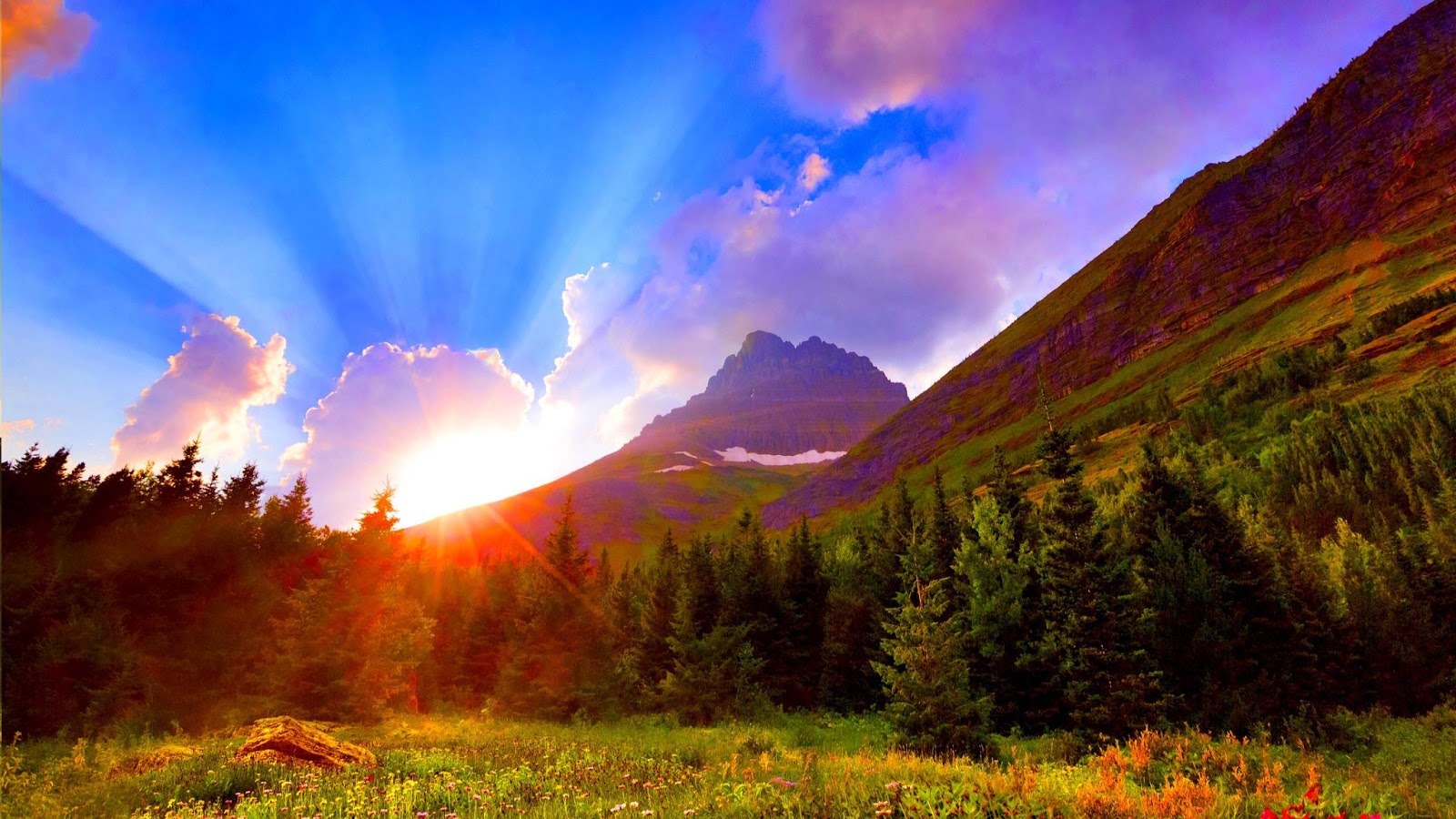 50 Hình nền Mặt Trời đẹp nhất Ảnh đẹp thiên nhiên