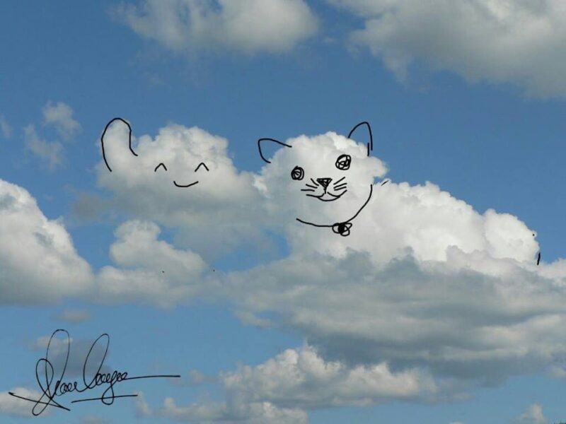 ảnh mây được tạo hình đáng yêu